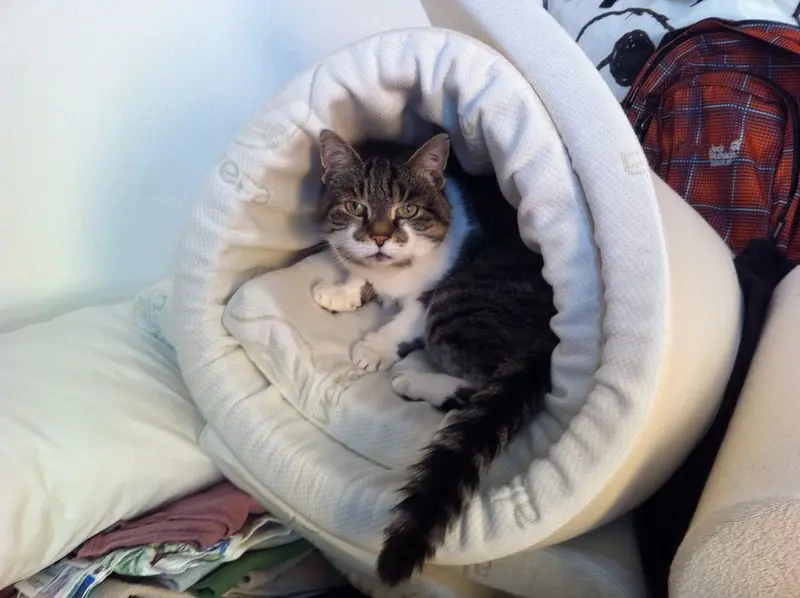 Andachtsbild von *Sternchenpost*