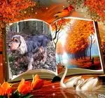 Andachtsbild von Christine mit Amy tief im Herzen(verst.13.11.2020)