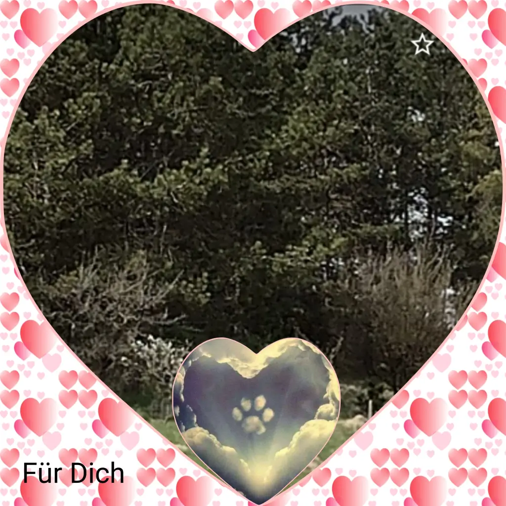 Andachtsbild von Corinna mit Emma, Pummelchen und anderen Sternlein im ❤️