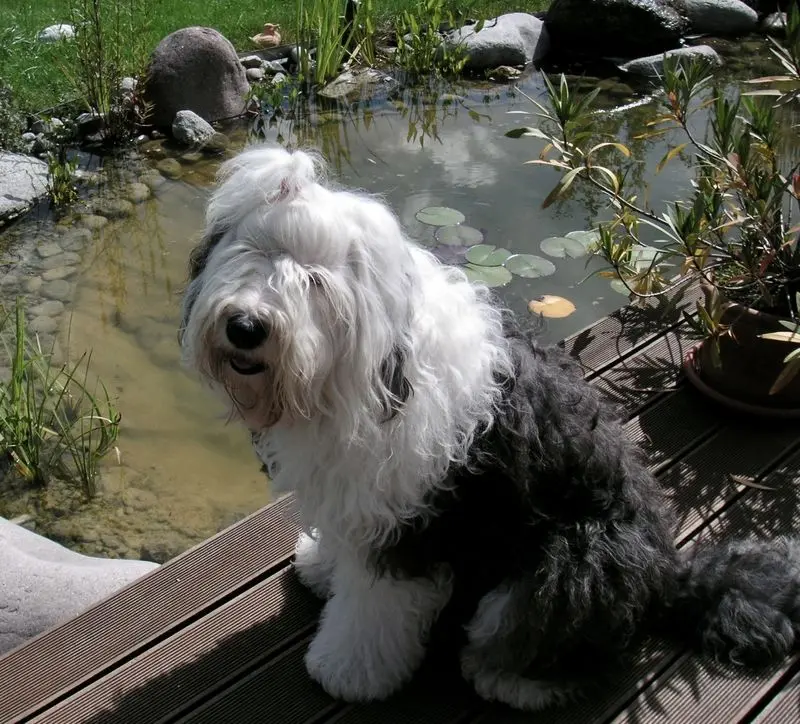 Condolence image of Claudia