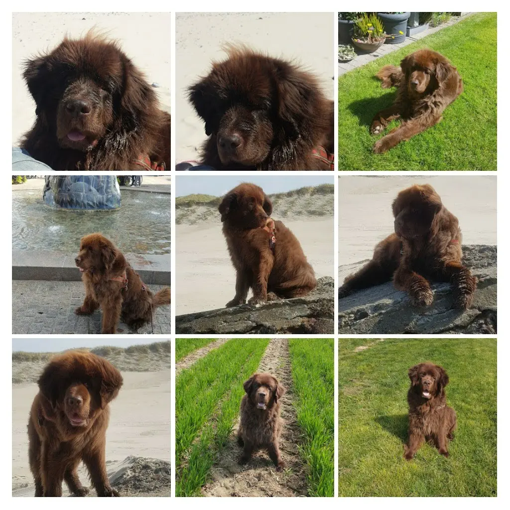 Andachtsbild von Mama