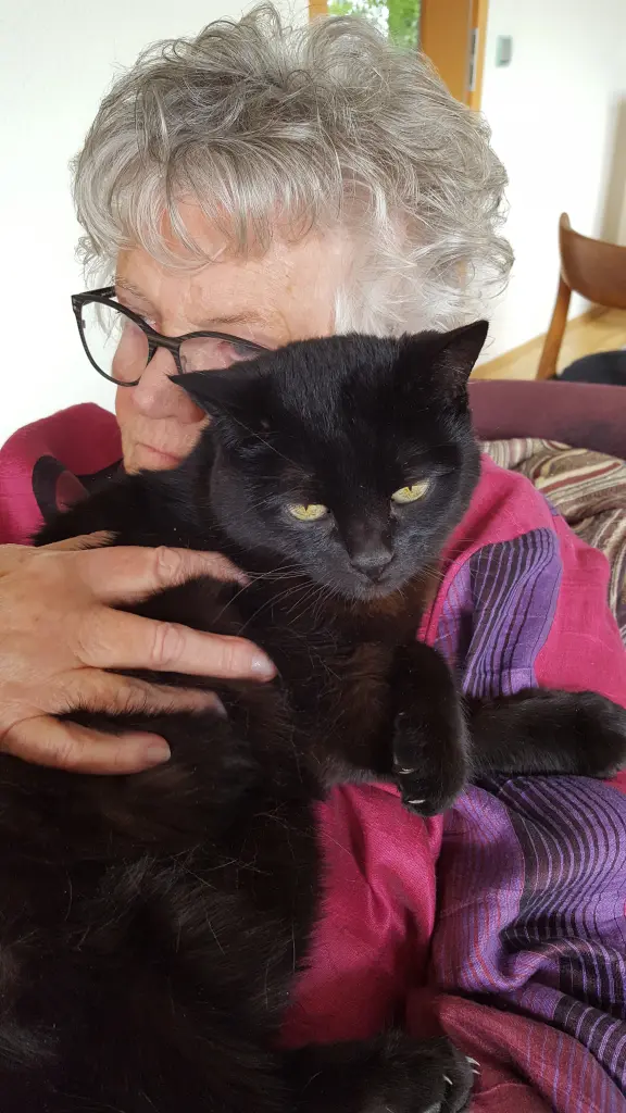 Andachtsbild von Nicola