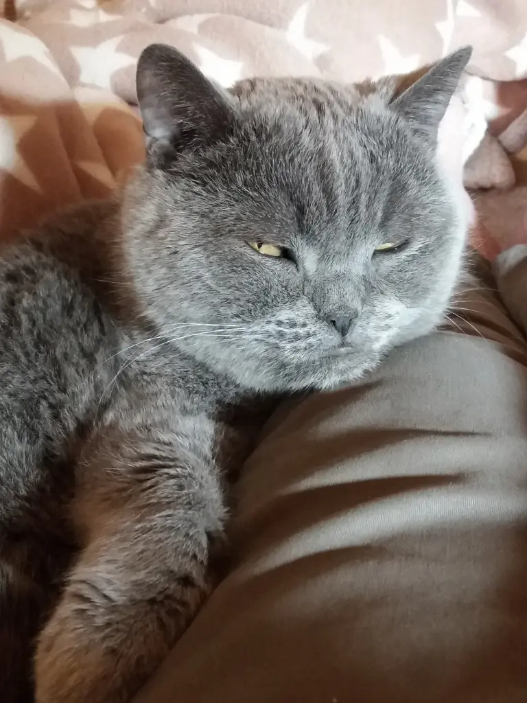 Andachtsbild von Sabine mit Kaspar tief im Herzen