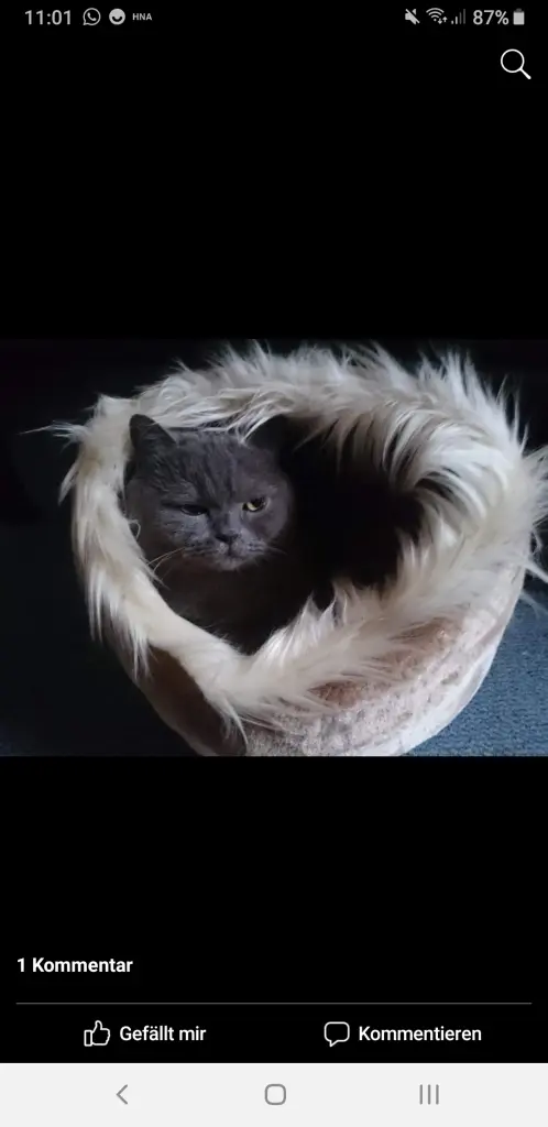 Andachtsbild von Frauke