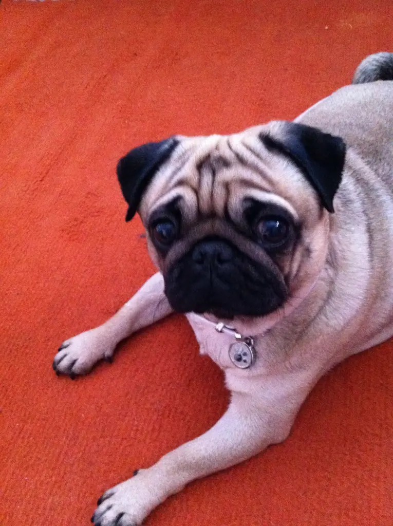 Image from Emily