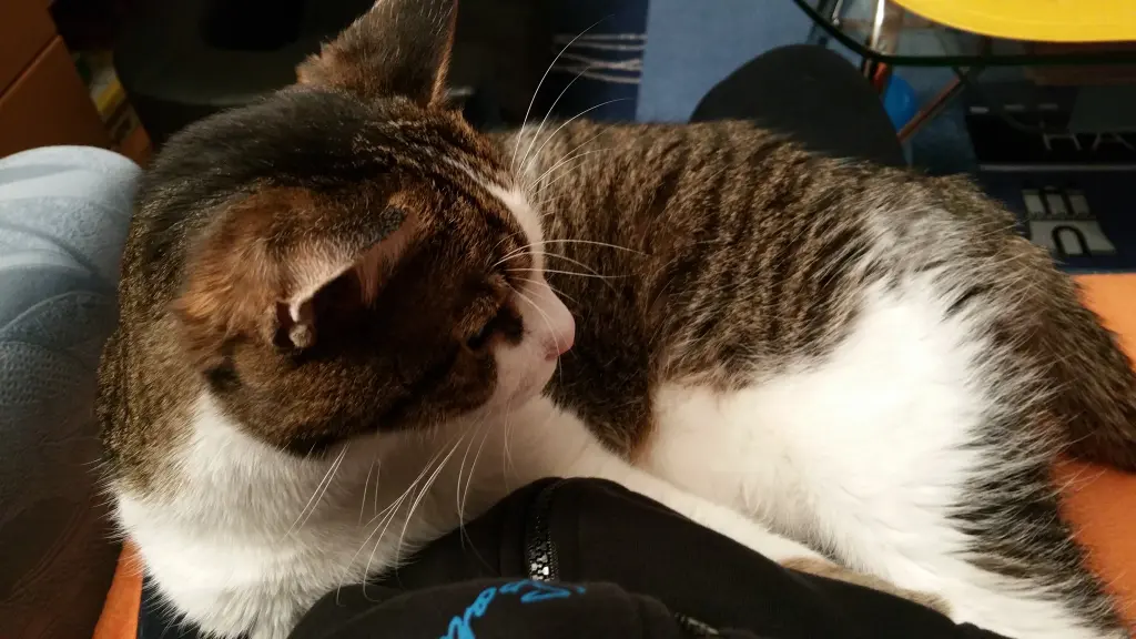 Andachtsbild von Tanja mit Timmy im Herzen