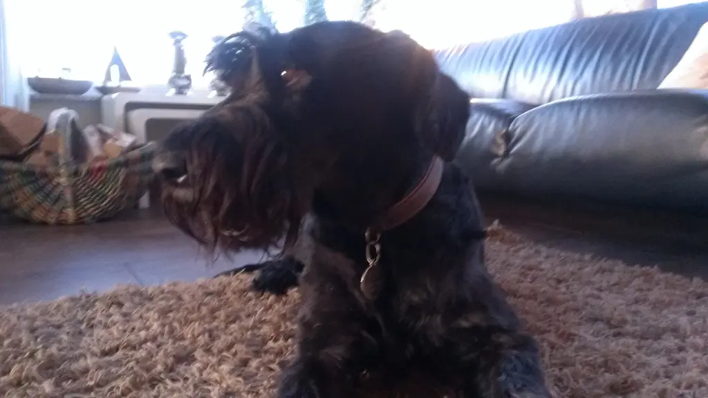 Andachtsbild von Sabine und Iska im Herzen Stockhausen