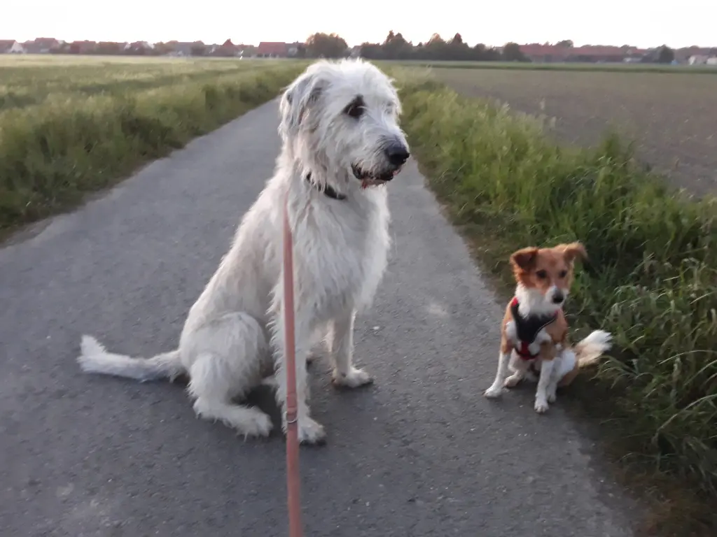 Andachtsbild von Carmen Pabst