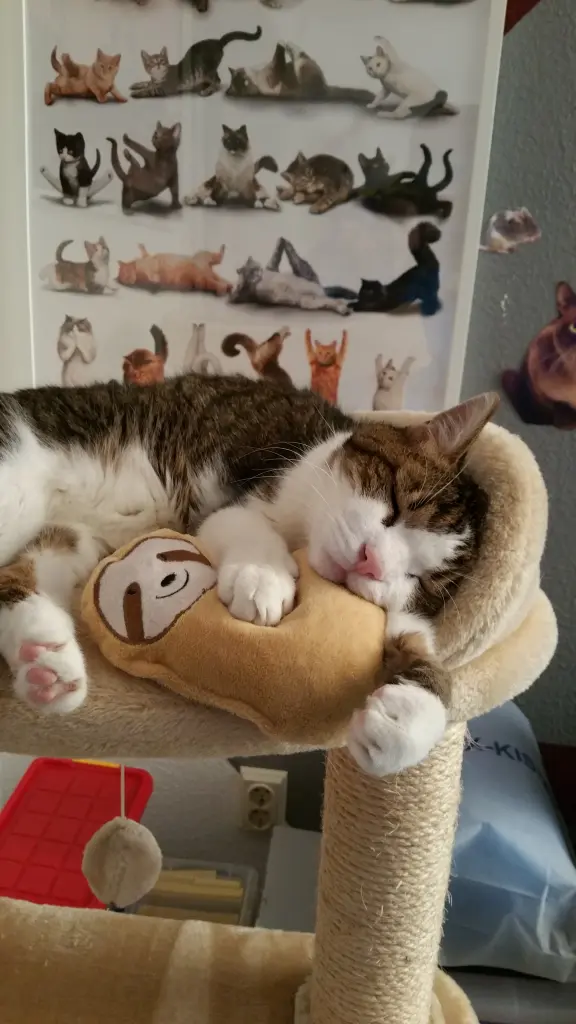 Andachtsbild von Tanja mit Timmy im Herzen