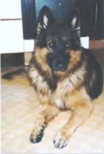 Bild von Eiko