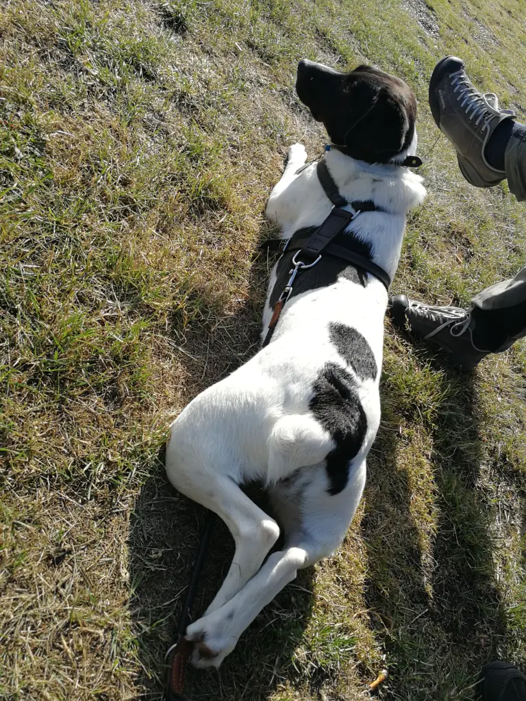 Image from Billya
