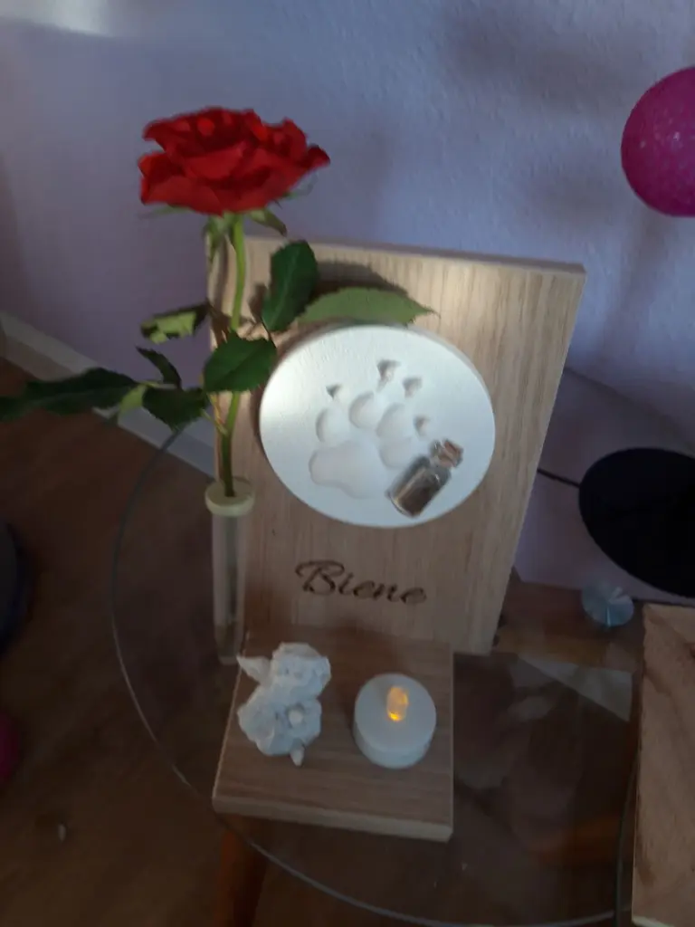 Condolence image of Ilona