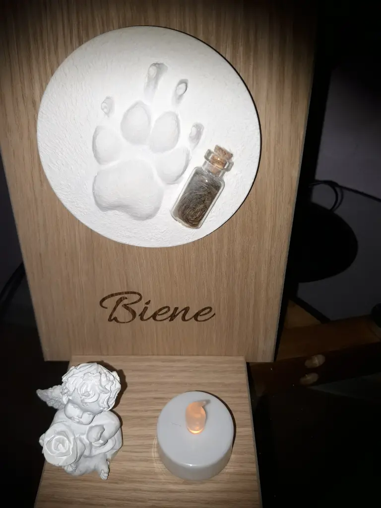 Image from Biene