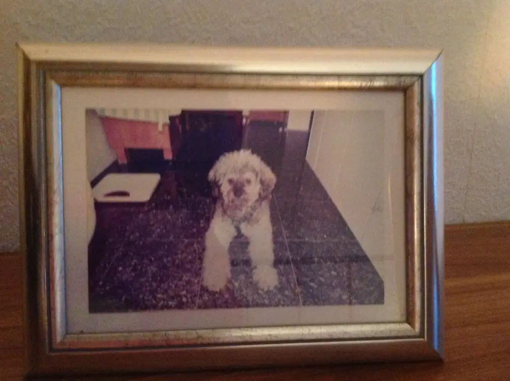 Andachtsbild von Manuela