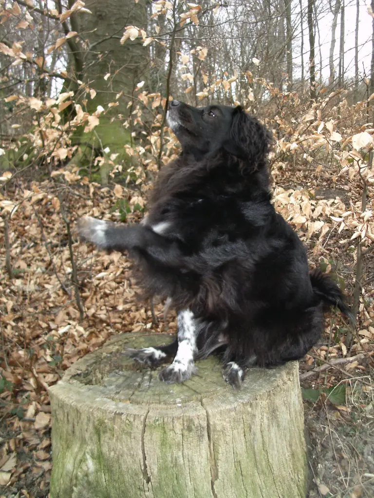 Image from Krümel