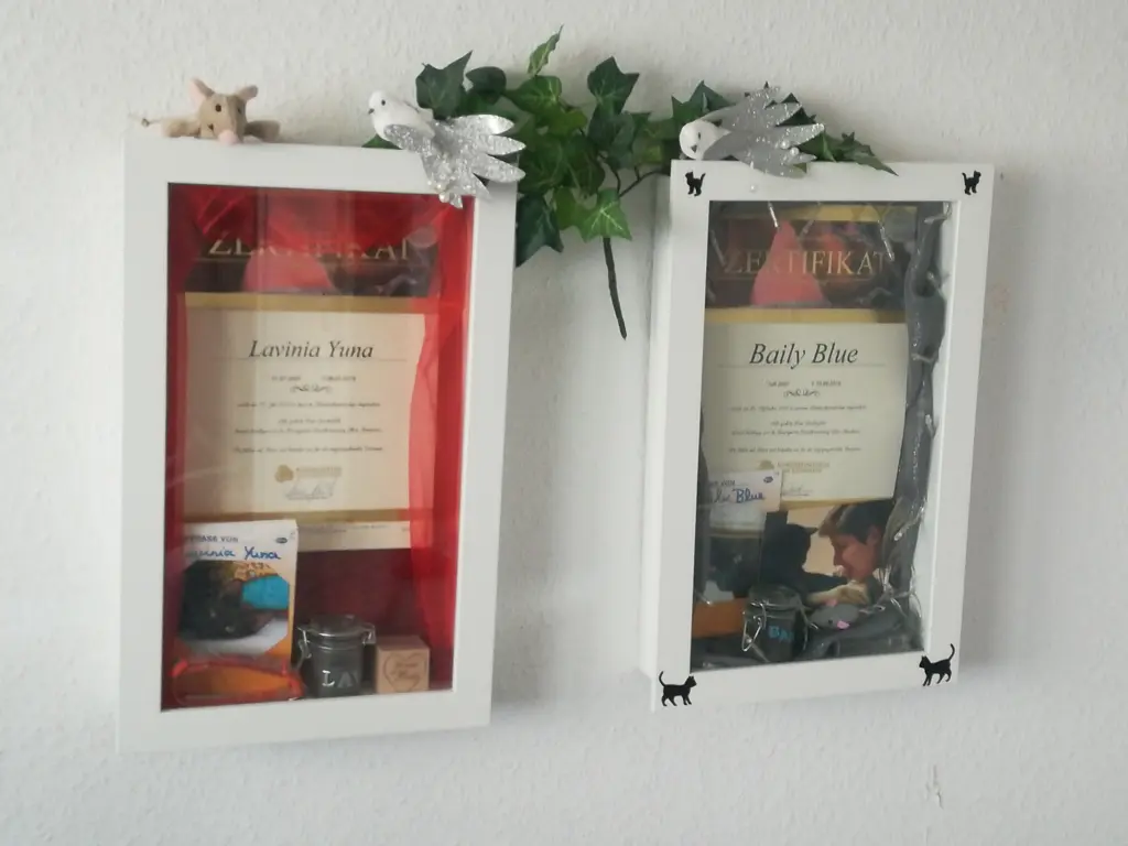 Image from Lavinia Yuna