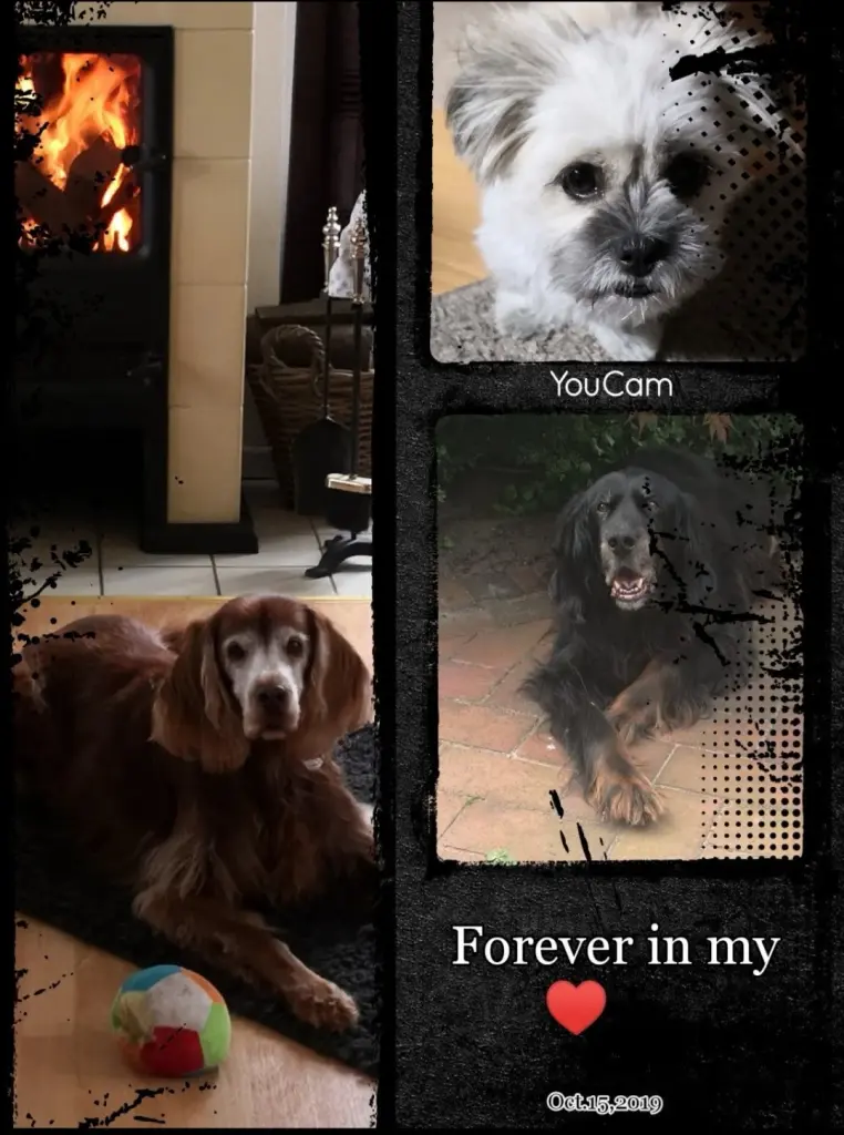 Condolence image of Deni