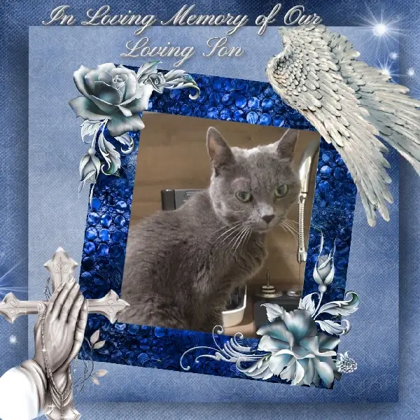 Andachtsbild von gerlinde 