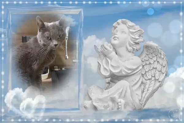 Andachtsbild von gerlinde