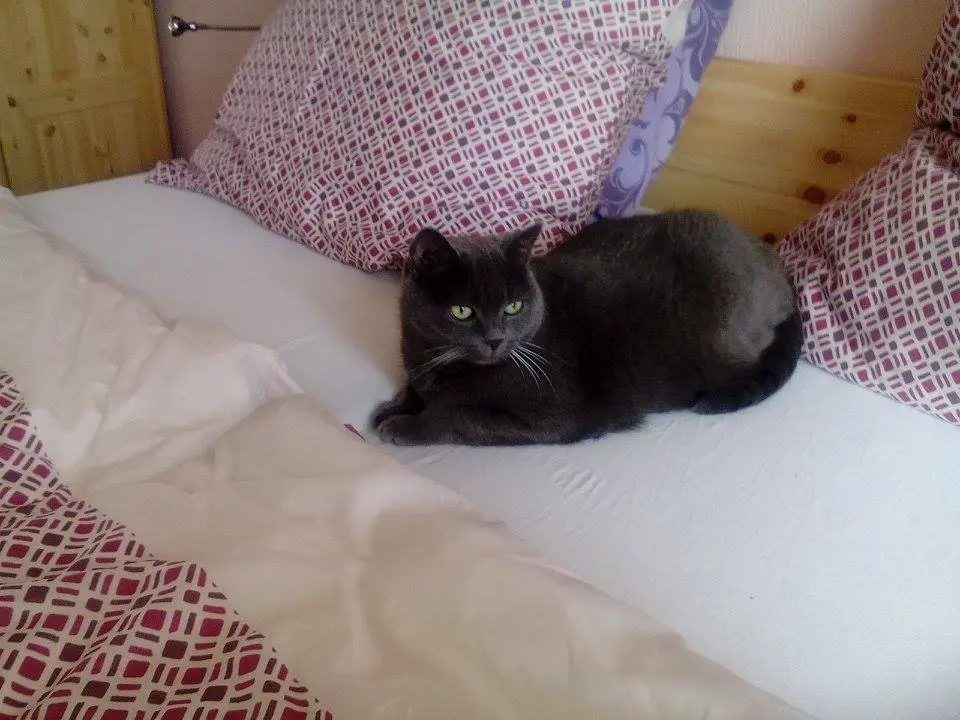 Andachtsbild von gerlinde