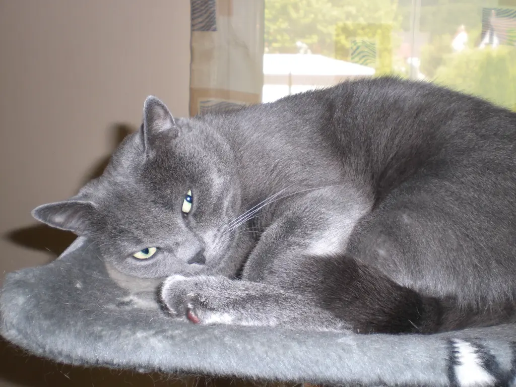 Andachtsbild von gerlinde