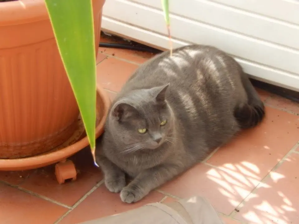 Andachtsbild von gerlinde