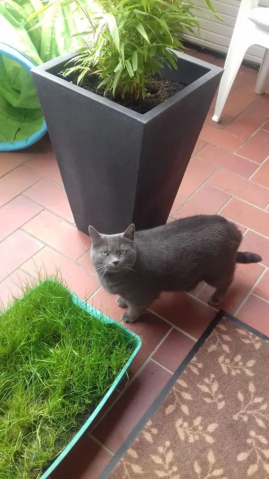 Andachtsbild von gerlinde