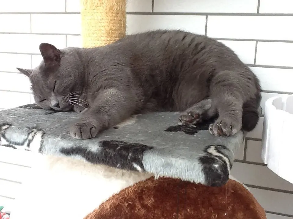 Andachtsbild von gerlinde