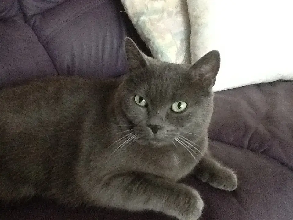 Andachtsbild von gerlinde