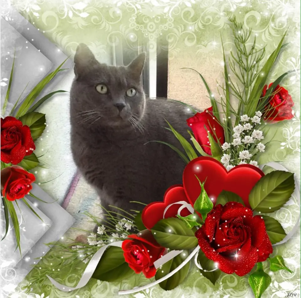 Andachtsbild von Unbekannt