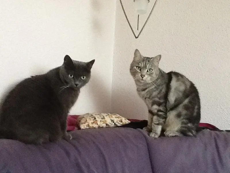 Andachtsbild von gerlinde