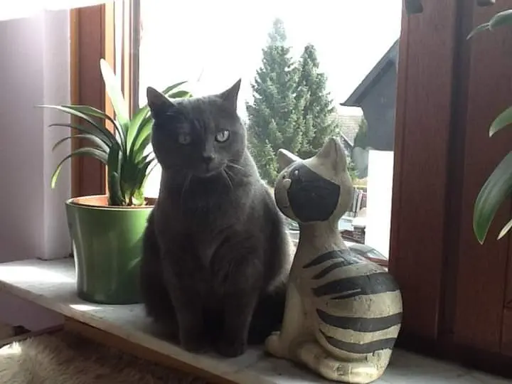 Andachtsbild von gerlinde