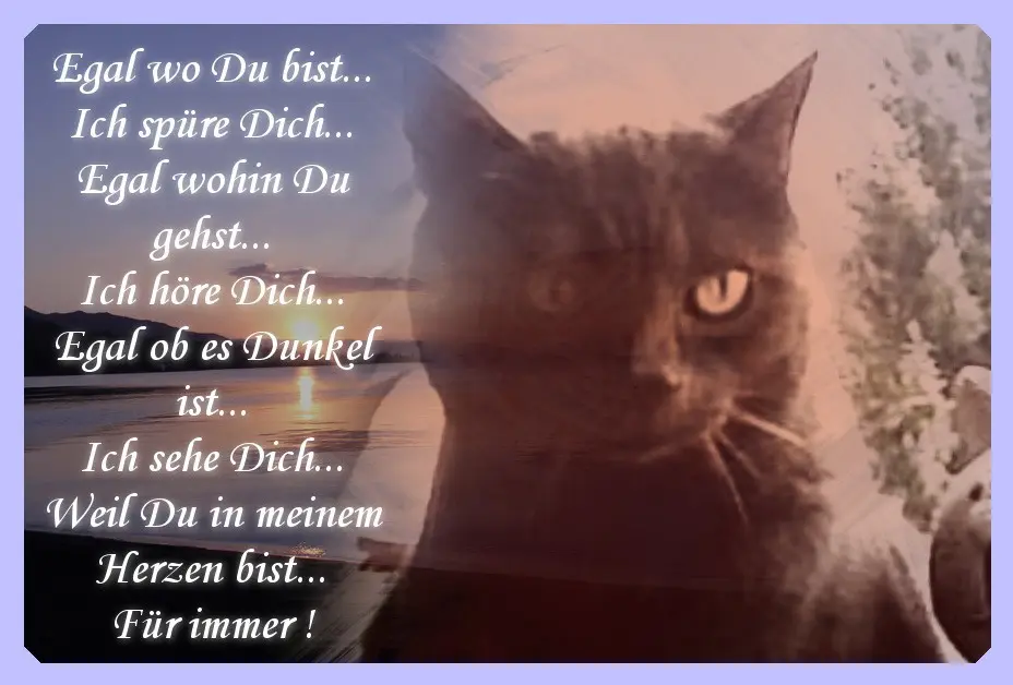 Andachtsbild von Unbekannt