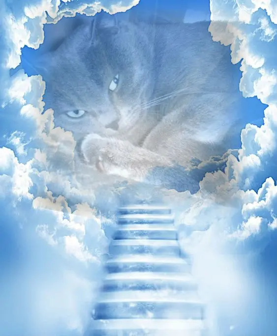 Andachtsbild von von Shebie