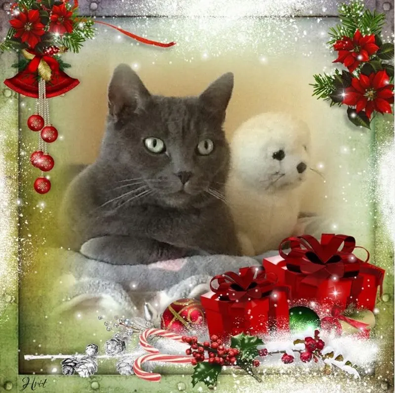 Andachtsbild von gerlinde