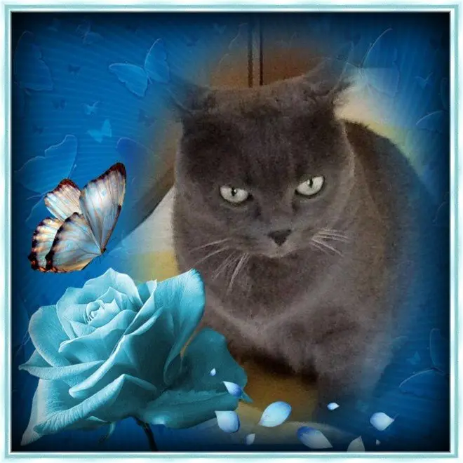 Andachtsbild von gerlinde