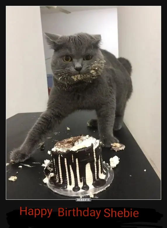 Andachtsbild von Geburtstagsgruß an einen Engel❤️