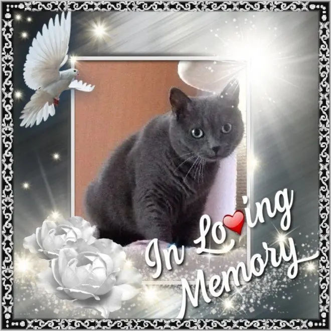 Andachtsbild von gerlinde