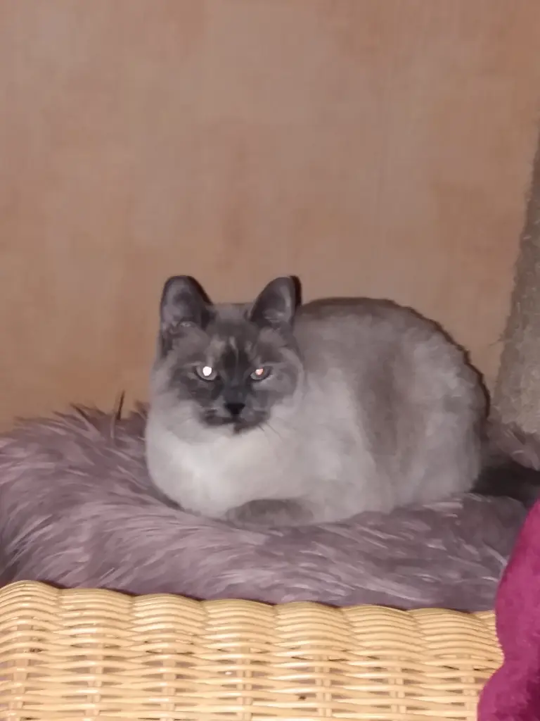 Andachtsbild von Maja❤️