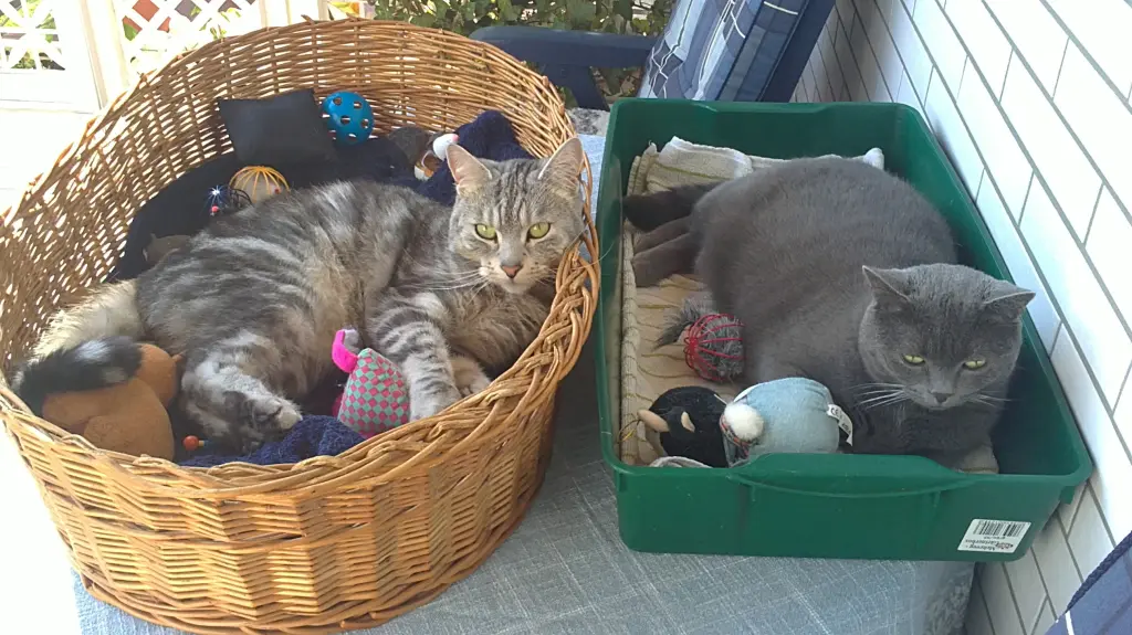 Andachtsbild von Unbekannt