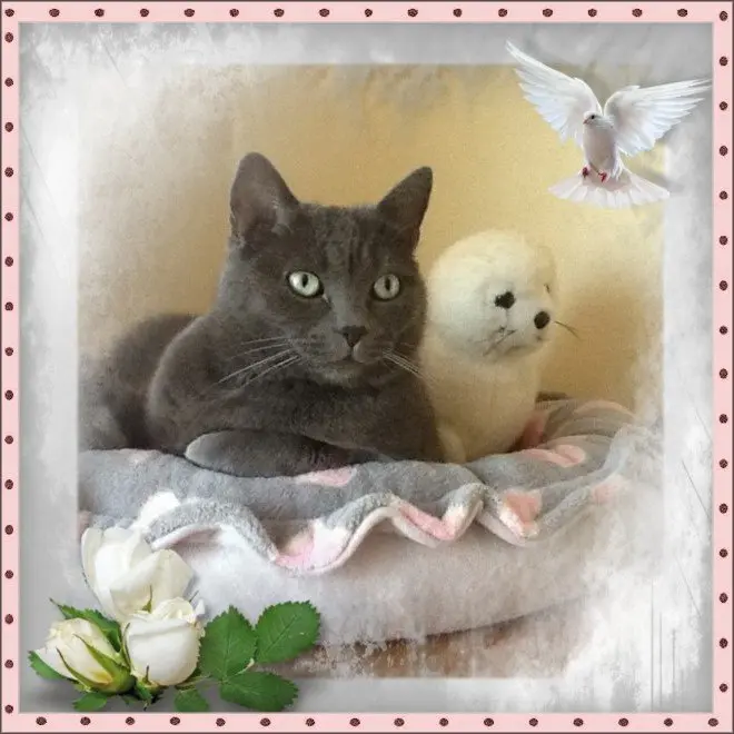 Andachtsbild von gerlinde