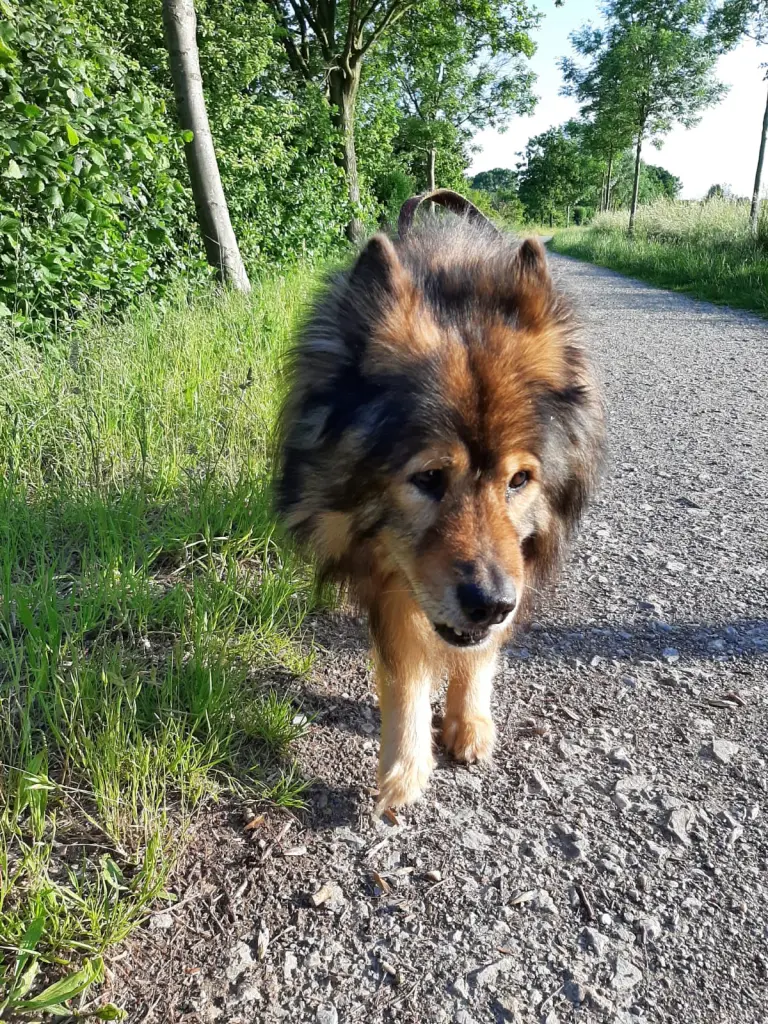 Image from Fynn