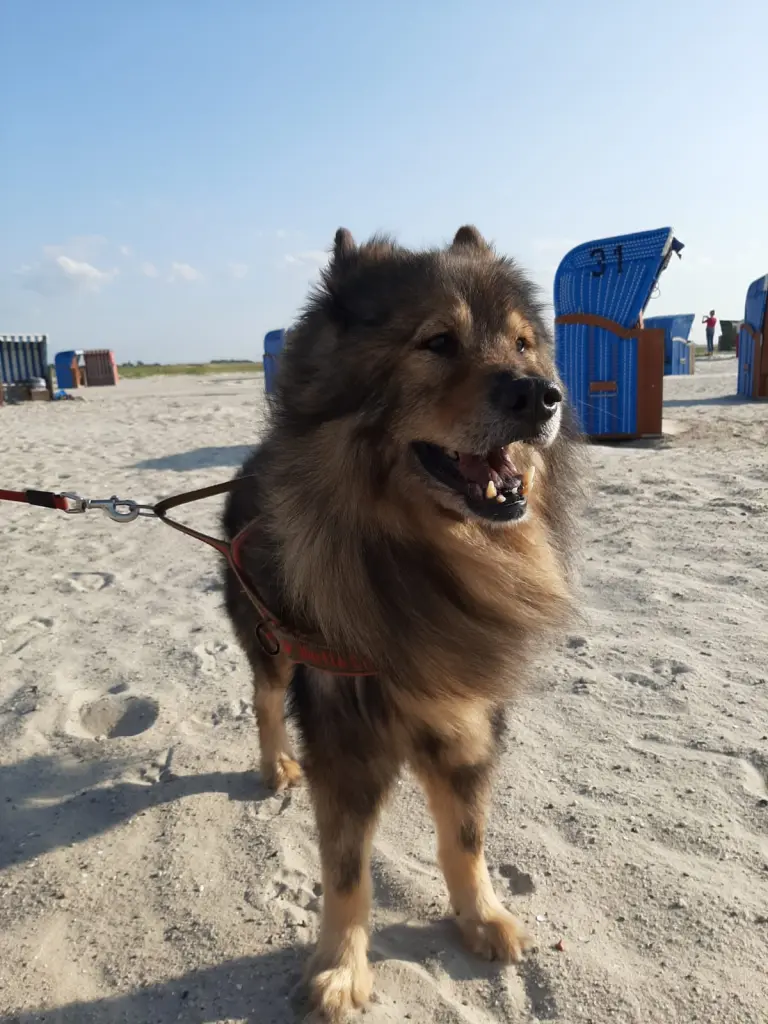 Image from Fynn