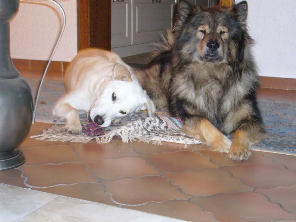 Image from Fynn