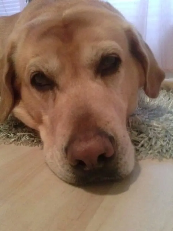 Condolence image of Sabine
