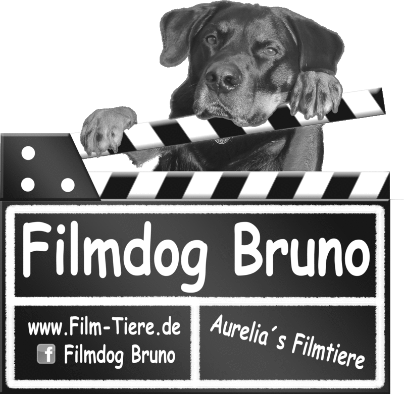 Image from Bruno