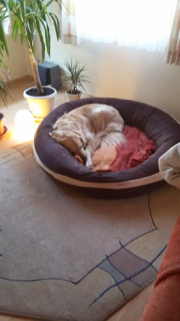 Condolence image of Margret