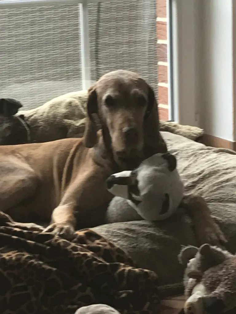 Condolence image of Bettina