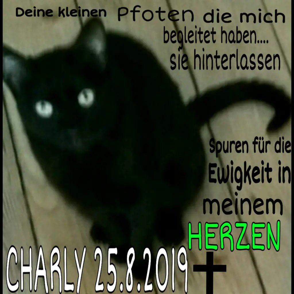 Image from Charly