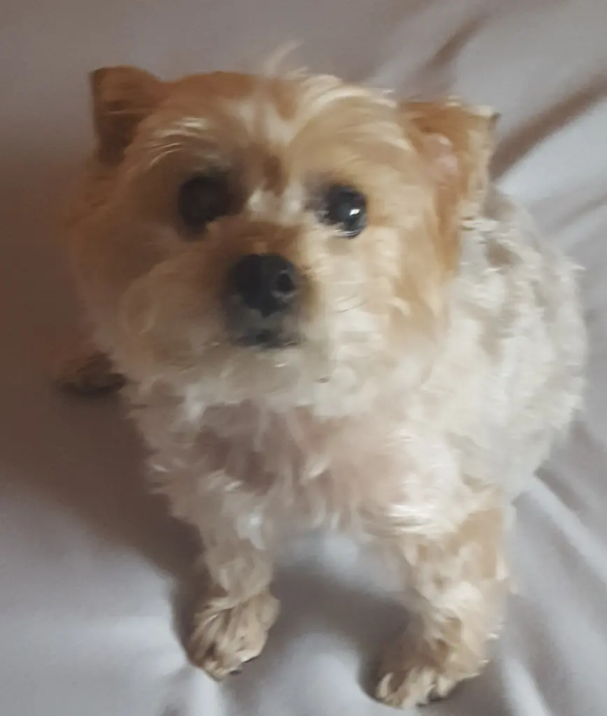 Condolence image of Claudia